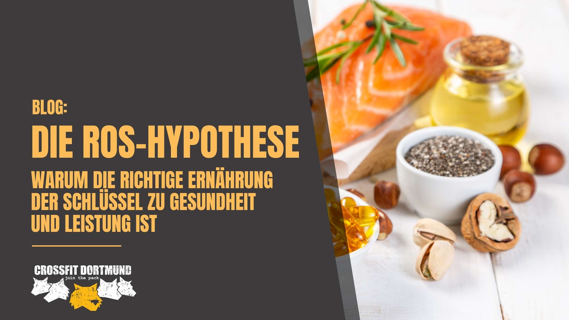Die ROS-Hypothese, Warum die richtige Ernährung der Schlüssel zu Gesundheit und Leistung ist